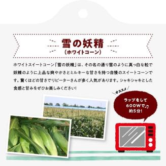 【令和6年発送】 宮崎県産 とうもろこし 大山さんちの ホワイトコーン ( 雪の妖精 ) 6〜8本 【 スィートコーン 2024年発送 先行受付 宮崎県産 九州産 】