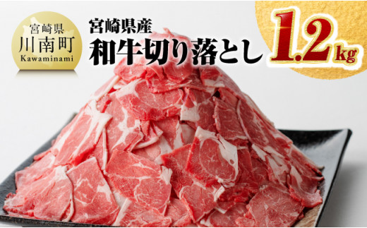 数量限定 宮崎県産和牛切り落とし1.2kg 【 国産牛 牛肉 肉 お肉 切落し 】