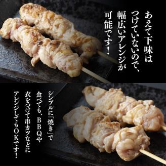 【６ケ月定期便】 焼き鳥 人気部位 串 計４８本 【肉 鶏肉 国産 九州産 宮崎県産 若鶏 焼鳥 やきとり BBQ バーベキュー】