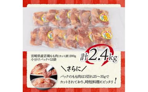 【6ヶ月定期便】宮崎県若鶏もも肉2.4kg（200g×12袋）※令和7年1月から6月発送※ 【 定期便 6回 肉 鶏 鶏肉 若鶏 もも 小分け 】