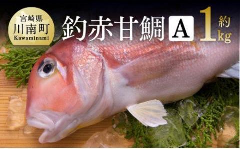 『釣赤甘鯛 Ａ』 【鮮魚 さかな 九州 宮崎 川南町 新鮮 魚介 海の幸  魚 G4405】