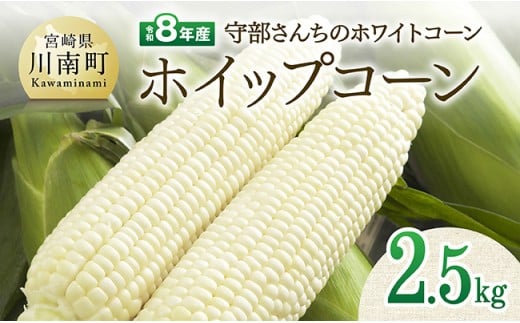 【令和8年発送】宮崎県産とうもろこし　守部さんちのホワイトコーン「ホイップコーン」2.5kg 【 とうもろこし ホワイトコーン トウモロコシ ホイップコーン 令和8年発送 先行予約 数量限定 期間限定 】
