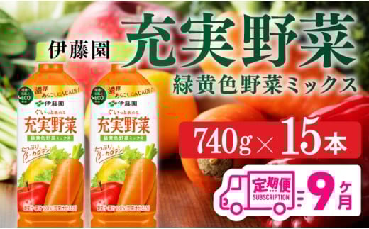 充実野菜 緑黄色野菜ミックスペットボトル　740g×15本　9ヶ月定期便【伊藤園 野菜ジュース 全９回 健康 ヘルシー】
