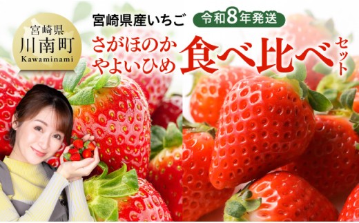 【令和8年発送】　宮崎県産いちご　「さがほのか＆やよいひめ」食べ比べセット 【 先行予約 期間限定 果物 イチゴ 苺 フルーツ 】