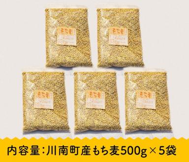 令和5年産 もち麦 2.5kg（500g×5袋）【国産 麦 もち麦 食物繊維】