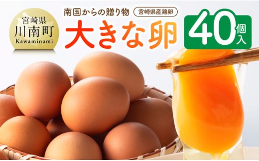 宮崎県産鶏卵 「南国からの贈り物」大きな卵40個入り(35個+破損補償5個) [ 卵 たまご 新鮮 おうちごはん タマゴ おうち時間 ]