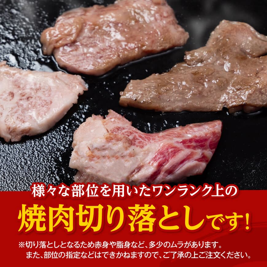 【数量限定】宮崎県産黒毛和牛　焼肉用切り落とし500g 【 牛肉 国産 宮崎県産 宮崎牛 BBQ 】