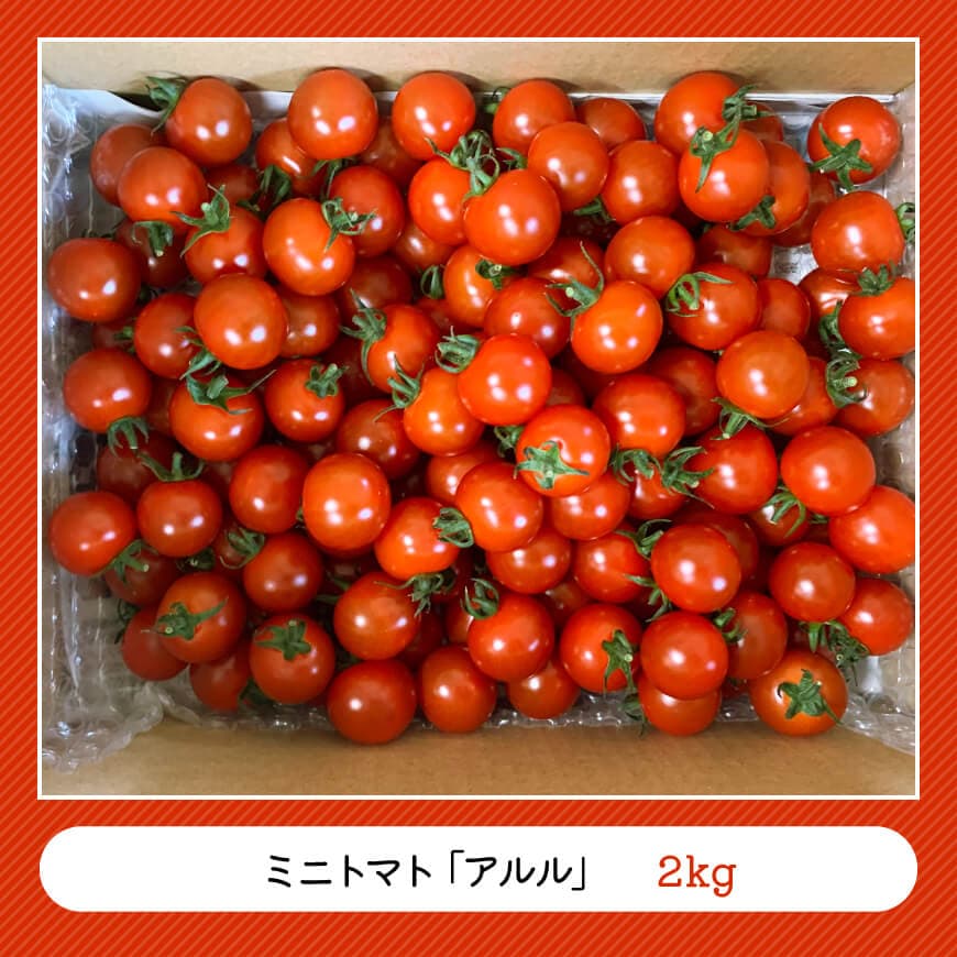 宮崎県産完熟ミニトマト「アルル」2kg 【 新鮮 アルル ミニトマト とまと 野菜 産地直送 宮崎県産川南町産 送料無料 】