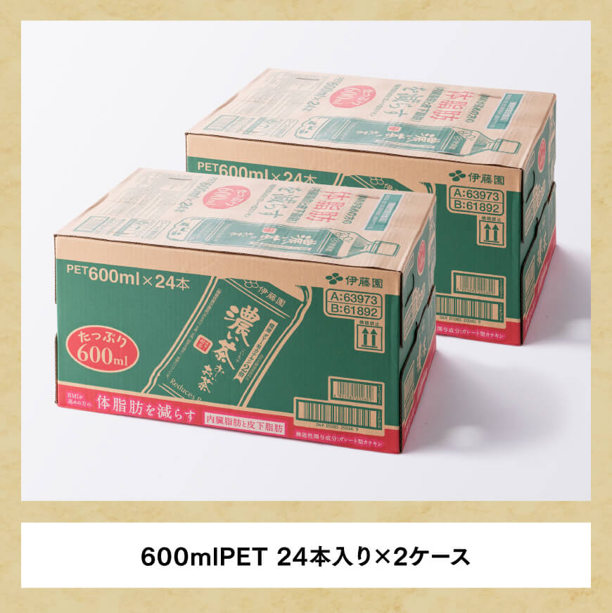 伊藤園 おーいお茶 濃い茶 600ml×48本 PET 【 飲料類 ソフトドリンク お茶 ペットボトル 】 宮崎県川南町