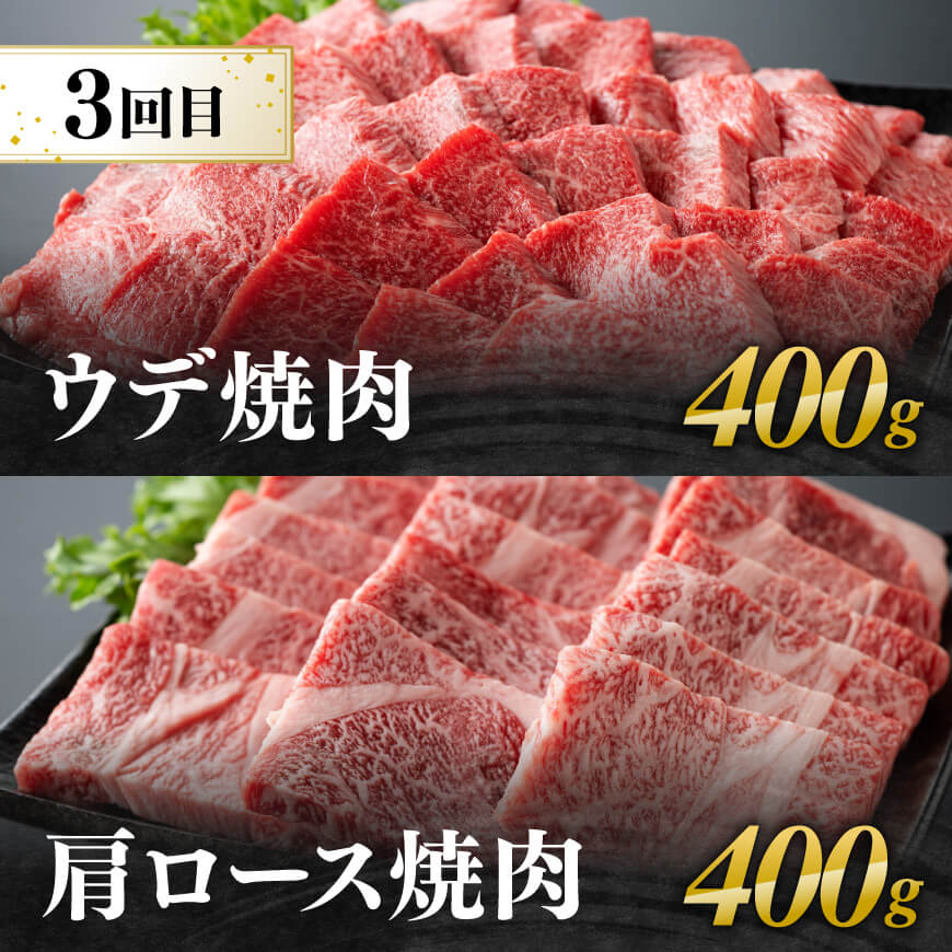 【5ヶ月定期便】厳選焼肉定期便【肉 牛肉 国産 宮崎県産 宮崎牛 焼肉 BBQ モモ ウデ 肩ロース 】