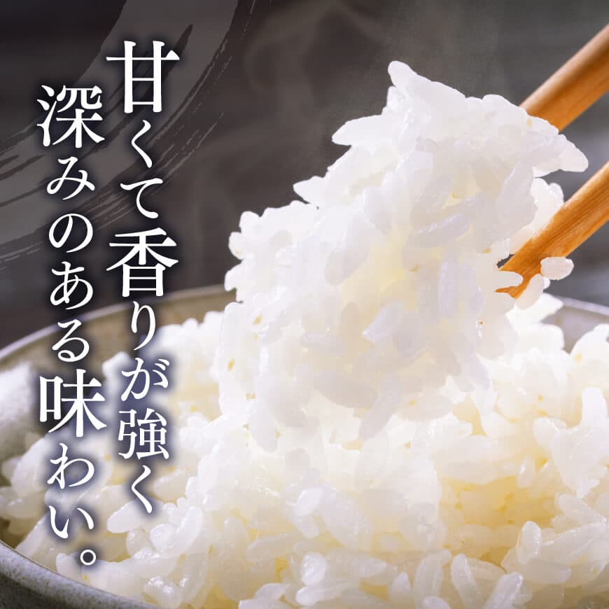 【令和6年産】黒木農園のお米「いのちの壱(白米)」5kg 【 米 お米 白米 国産 宮崎県産 いのちの壱 おにぎり 】