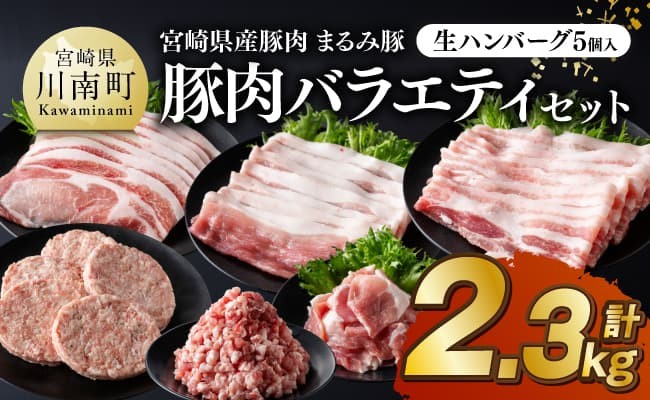 宮崎県産豚肉 「まるみ豚」総重量2.3kg豚肉バラエティセット　生ハンバーグ5個入り 【 肉 豚肉 国産 小分け 弁当 おかず お手軽 真空パック バラ モモ ロース こま切れ スライス ミンチ 挽肉 九州産 川南町産 送料無料 】
