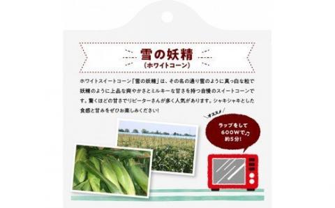 【令和7年発送】宮崎県産とうもろこし　大山さんちのスイートコーン２種（雪の妖精＆ドルチェドリーム）セット4.5kg【 先行予約 数量限定 期間限定 スィートコーン 2025年発送 先行受付 宮崎県産 九州産 】