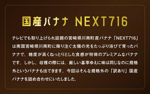 【訳あり】国産ミニバナナ1kg【国産 バナナ 無農薬 フルーツ 果物 デザート 朝食 スムージー 川南町】