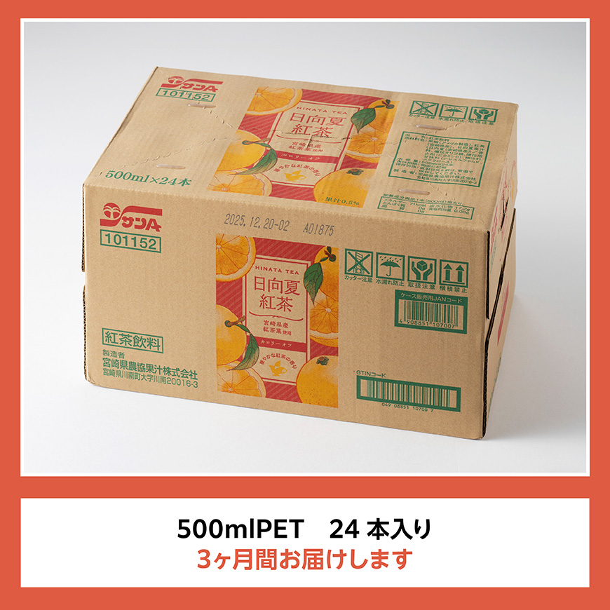 【3ヶ月定期便】 サンA 日向夏 紅茶 HINATA TEA 500mlＰＥＴ 24本 入り 【飲料 日向夏 紅茶 PET ジュース 長期保存 送料無料】