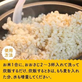 令和5年産 もち麦 2.5kg（500g×5袋）【国産 麦 もち麦 食物繊維】