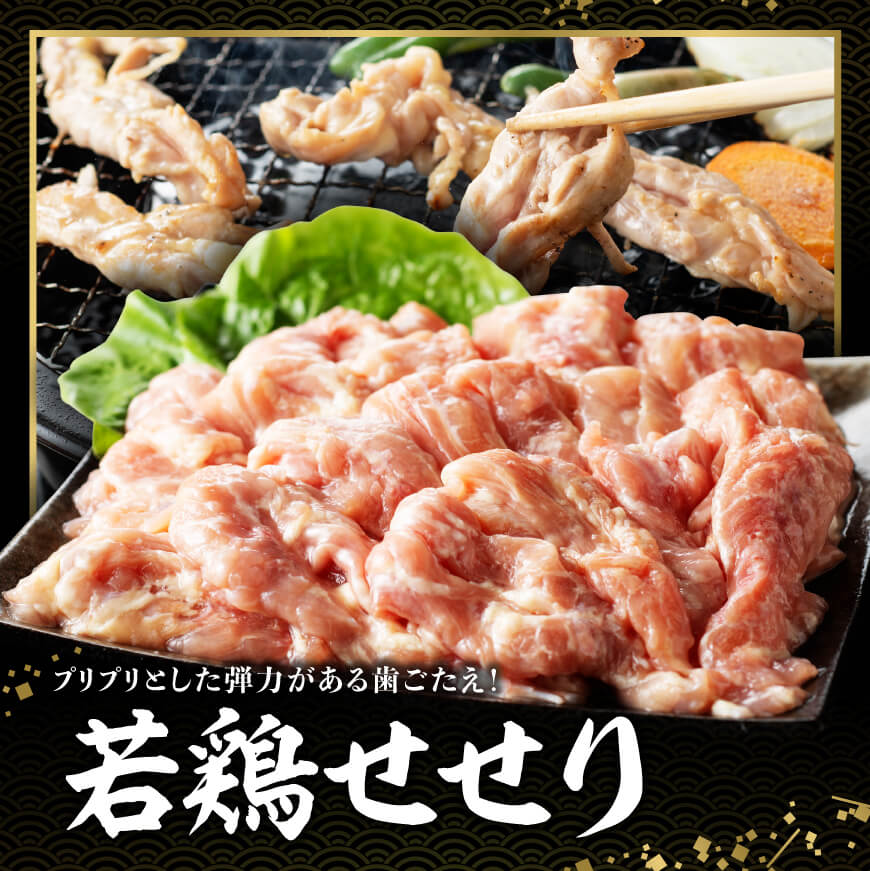 宮崎県産 「 放牧豚 ＆ 若鶏 」焼肉 セット 1kg 【 豚肉 豚 肉 鶏肉 鶏 肉 国産 宮崎県産 ロース バラ 小肉 】