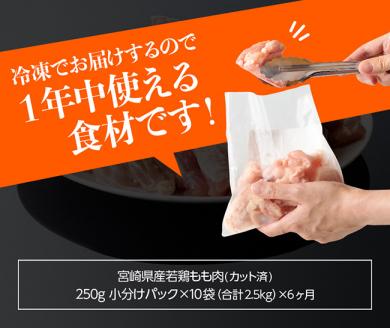 【定期便】宮崎県産 若鶏 もも肉 切身 2.5kg (250g×10袋) 6ヶ月定期便 【国産 九州産 鶏肉 肉 とり モモ肉 小分け カット済み 大人気 全6回】