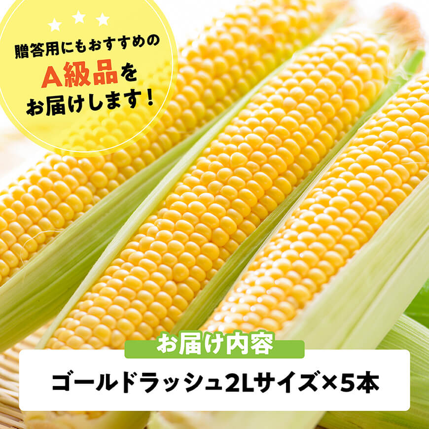 【令和7年発送】宮崎県産とうもろこし　スイートコーン「ゴールドラッシュ」2L×5本【新鮮 農家直送 トウモロコシ 産地直送 季節限定 期間限定 宮崎県産 九州産】