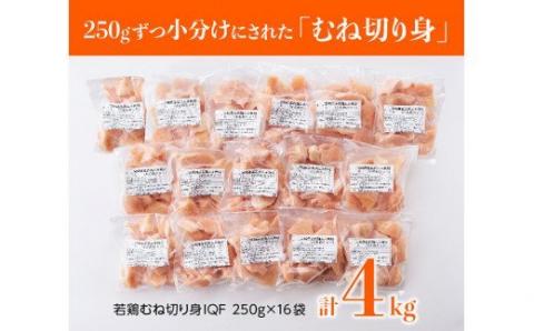宮崎県産 若鶏 むね肉 切身 4kg (250ｇ×16袋)【国産 九州産 鶏肉 肉 とり ムネ肉 小分け カット済み たっぷり 大容量】