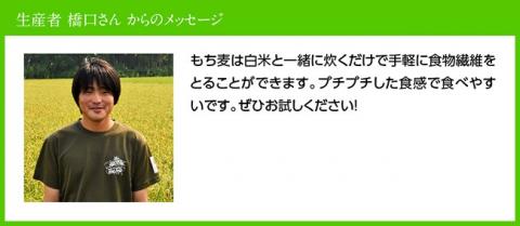 令和5年産 もち麦 2.5kg（500g×5袋）【国産 麦 もち麦 食物繊維】