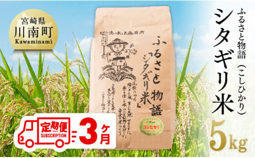 【３ヶ月定期便】※毎月20日頃発送※【令和6年産】宮崎県産こしひかり「シタギリ米」5kg【 お米 新米 2024年産 定期便 全3回 】