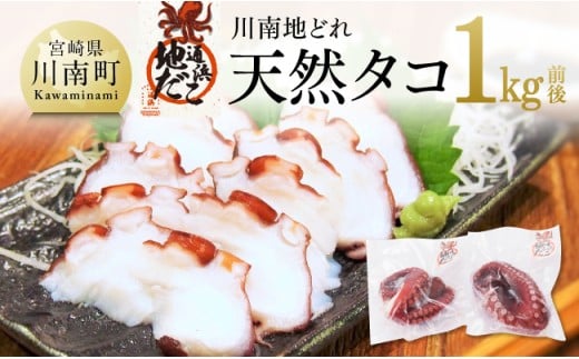 漁協直送！天然タコ（湯がき済）小分けで1kg前後 【 たこ 蛸 海産物 日向灘 地どれ 】