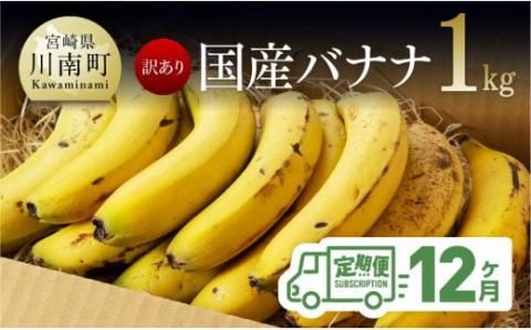 【訳あり】国産バナナ １ｋｇ【12ヶ月定期便】【 国産 バナナ 無農薬 フルーツ 果物 デザート 朝食 スムージー 宮崎県産 川南町 全12回 】