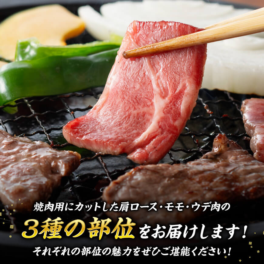 宮崎牛 焼肉 3種 計1.1kg 【 肉 牛肉 国産 宮崎牛 食べ比べ 4等級 5等級 ミヤチク 焼肉 BBQ バーベキュー 】