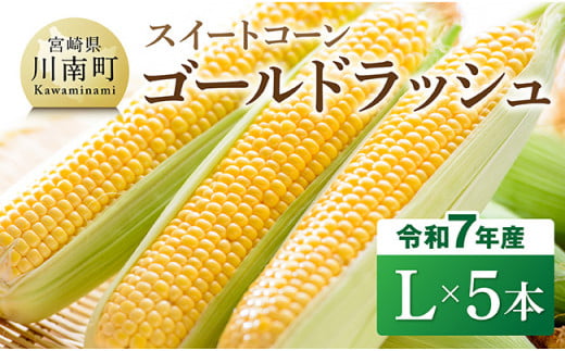 【令和7年発送】宮崎県産とうもろこし　スイートコーン「ゴールドラッシュ」L×5本【新鮮 農家直送 トウモロコシ 産地直送 季節限定 期間限定 宮崎県産 九州産】