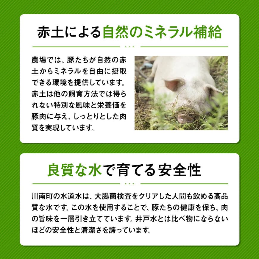 【12ヶ月定期便】宮崎県川南町産 放牧黒豚定期便 【 豚 肉 豚肉 国産 黒豚 九州産 宮崎県産 川南町 加工品 セット 送料無料 】