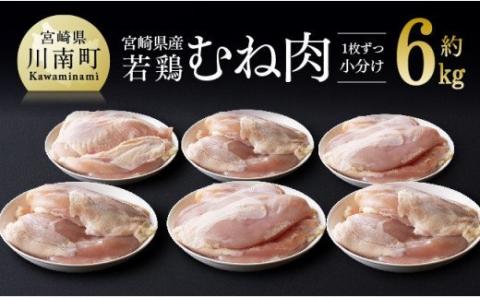 宮崎県産 若鶏 むね肉 約6kg【国産 九州産 肉 鶏肉 ムネ 小分け たっぷり 大容量】