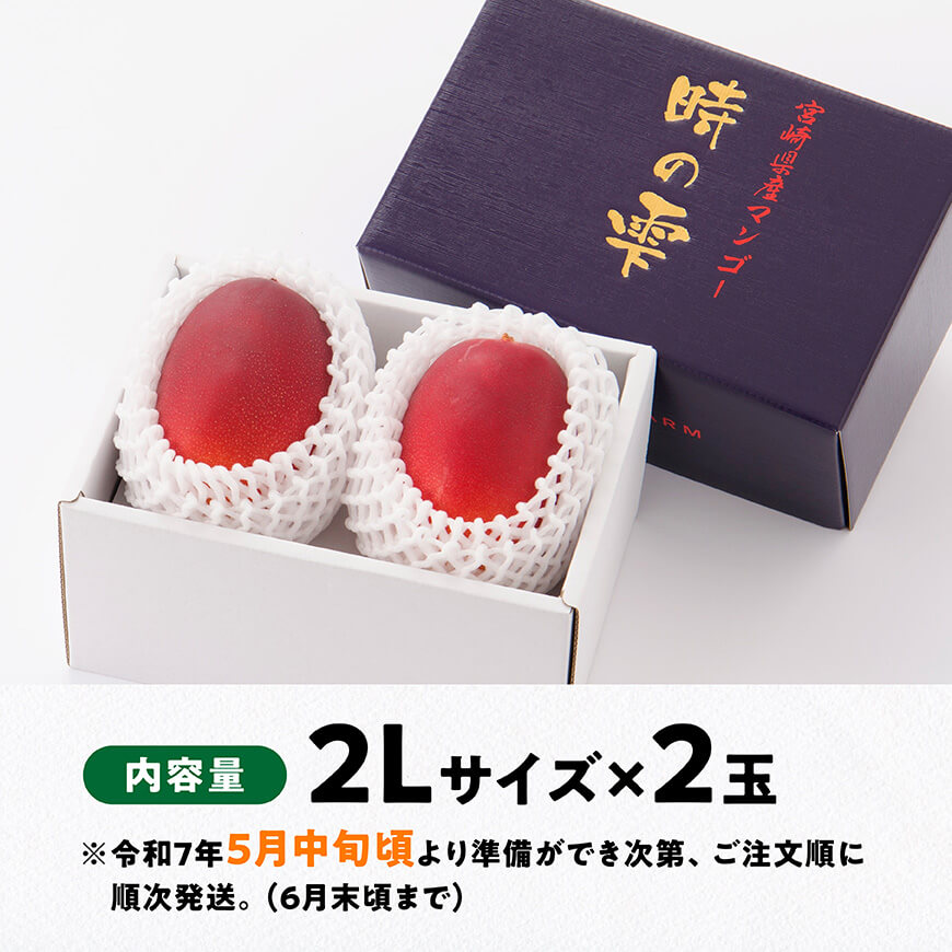 【令和７年発送】宮崎県産完熟マンゴー「時の雫」 2L×2玉【 果物 フルーツ マンゴー 宮崎県産 九州産 完熟マンゴー みやざきマンゴー 】