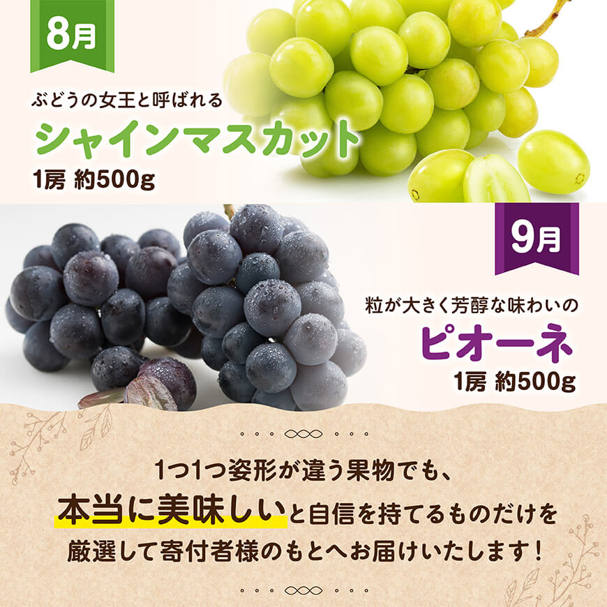 縲 蜈ィ6蝗槫ョ壽悄萓ソ 縲 縲舌>縺縺ィ縺薙←繧翫 螟ァ莠コ豌 縺上□繧ゅョ 螳壽悄萓ソ 縲 蟾晏漉逕コ逕」 縺縺。縺 螳檎 繝槭Φ繧エ繝シ 縺カ縺ゥ縺 繝薙が繝シ繝 繧キ繝」繧、繝ウ 繝槭せ繧ォ繝繝 縲