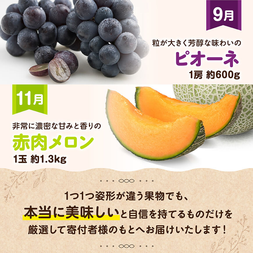 ã å
š6åå®æäŸ¿ ã ãã©ãã¯ã¹ å®æäŸ¿ ã奿°æãã å·åçºç£ ãããã ãã¡ã å®ç ãã³ãŽãŒ ã¶ã©ã ããªãŒã èµ€è ã¡ãã³ ã