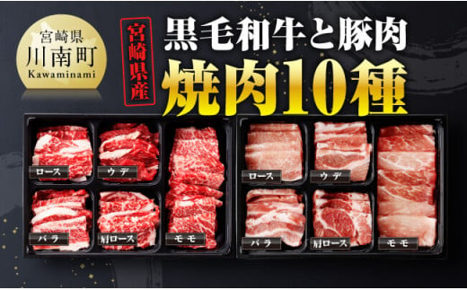 宮崎県産 黒毛和牛 と 豚肉 焼肉 10種 【 肉 牛肉 豚肉 ぶた肉 国産 黒毛和牛 食べ比べ 4等級 5等級 ミヤチク 焼肉 BBQ バーベキュー 】