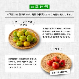 【定期便】産直おすず村 季節の野菜と果物 厳選 詰め合わせセット（大） 全4回【旬野菜 フルーツ 直売所 産地直送 宮崎県産】