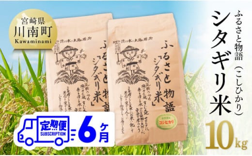 【6ヶ月定期便】※毎月20日頃発送※【令和6年産】宮崎県産こしひかり 「シタギリ米」 5kg×2 【 お米 新米 2024年産 定期便 全6回 】