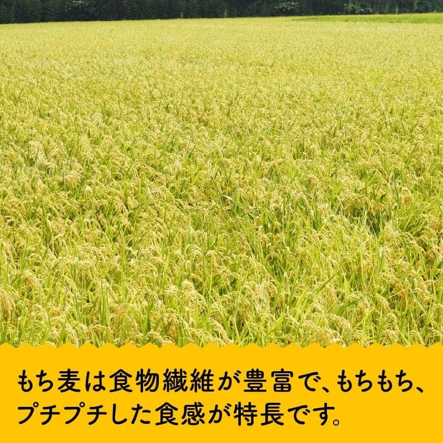 令和6年産 お米5kg(夏の笑み)ともち麦500g×2袋 【 宮崎県産 米 こめ 精米 おにぎり 麦 穀物 】