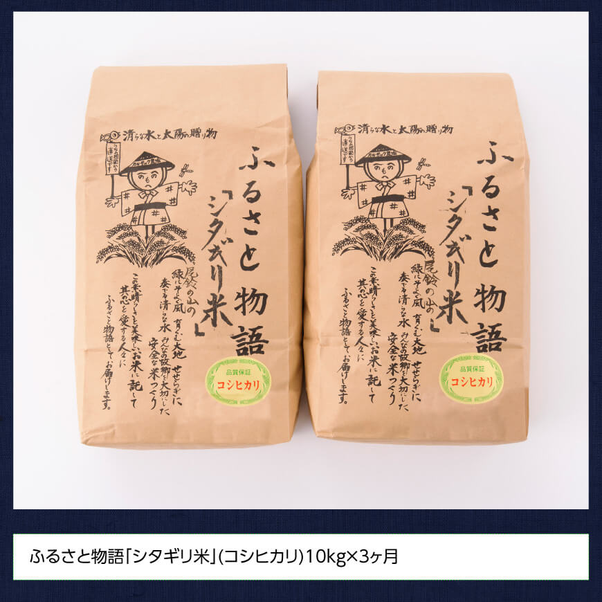 【3ヶ月定期便】※毎月20日頃発送※【令和6年産】宮崎県産こしひかり「シタギリ米」5kg×2 【 お米 新米 2024年産 定期便 全3回 】