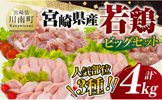 【 小分け 】 宮崎県産 若鶏 4kg ビッグ セット 【 もも むね ささみ セット 鶏肉 とり肉 ごはん 料理 大容量 】