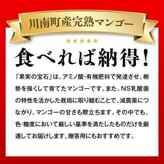 【令和8年発送】宮崎県産完熟マンゴー「果実の宝石」　プレミアム 2L×2玉 【 先行予約 数量限定 宮崎県産 九州産 川南町産 糖度15度以上 期間限定 】