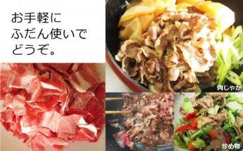 宮崎牛 こま 600g (300g×2)【肉 牛肉 国産 黒毛和牛 肉質等級4等級以上 4等級 5等級 小間肉 炒め物 肉じゃが】