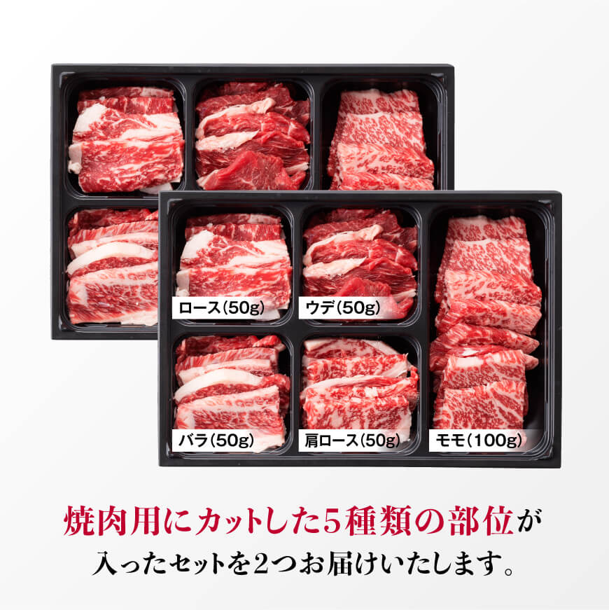 黒毛和牛5種盛り 焼肉セット（数量限定）600g 【 肉 牛肉 国産 宮崎県産 黒毛和牛 ミヤチク BBQ バーベキュー 送料無料 】