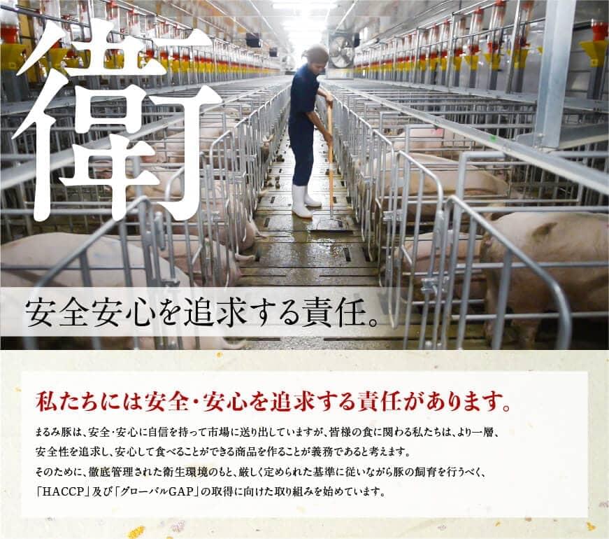 「まるみ豚」宮崎県産豚肉 時短セット【 豚肉 豚 肉 国産 川南町 時短 セット 宮崎県産 】