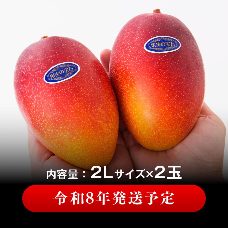 【令和8年発送】宮崎県産完熟マンゴー「果実の宝石」　プレミアム 2L×2玉 【 先行予約 数量限定 宮崎県産 九州産 川南町産 糖度15度以上 期間限定 】