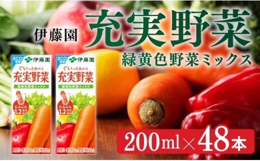伊藤園 充実野菜 緑黄色野菜ミックス（紙パック）200ml×48本 【伊藤園 飲料類 野菜ジュース 野菜 ジュース ミックスジュース 飲みもの】