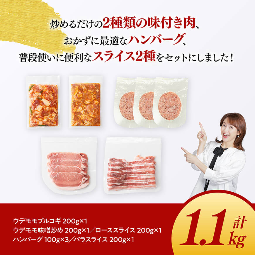 「まるみ豚」宮崎県産豚肉　人気セット　計1.1kg 【 豚肉 豚 肉 国産 川南町 ウデ モモ ハンバーグ ローススライス バラスライス 】