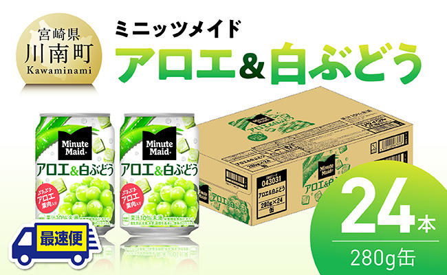 【最速便】コカ・コーラ ミニッツメイド「アロエ&白ぶどう」280g缶 24本（24本×1ケース） 【 飲料 アロエ 白ぶどう 果汁 長期保存 】