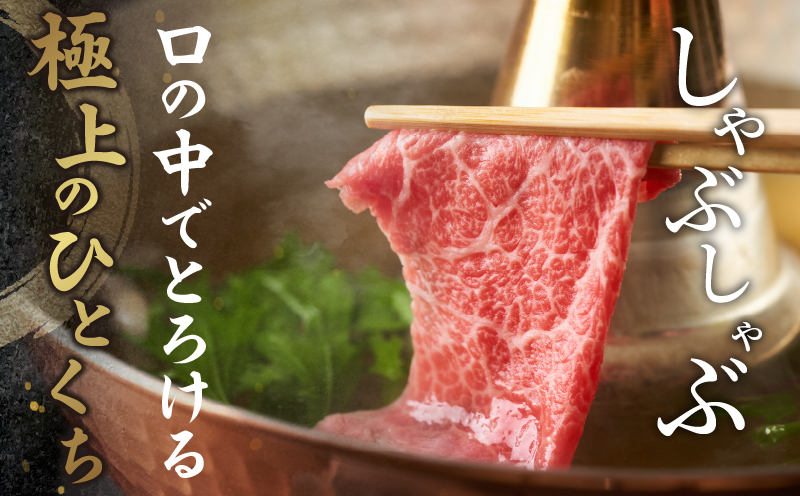 【12月発送】生産者応援≪肉質等級4等級以上≫黒毛和牛肩ウデスライス(計1kg) 肉 牛 牛肉 おかず 国産_T030-0071-612